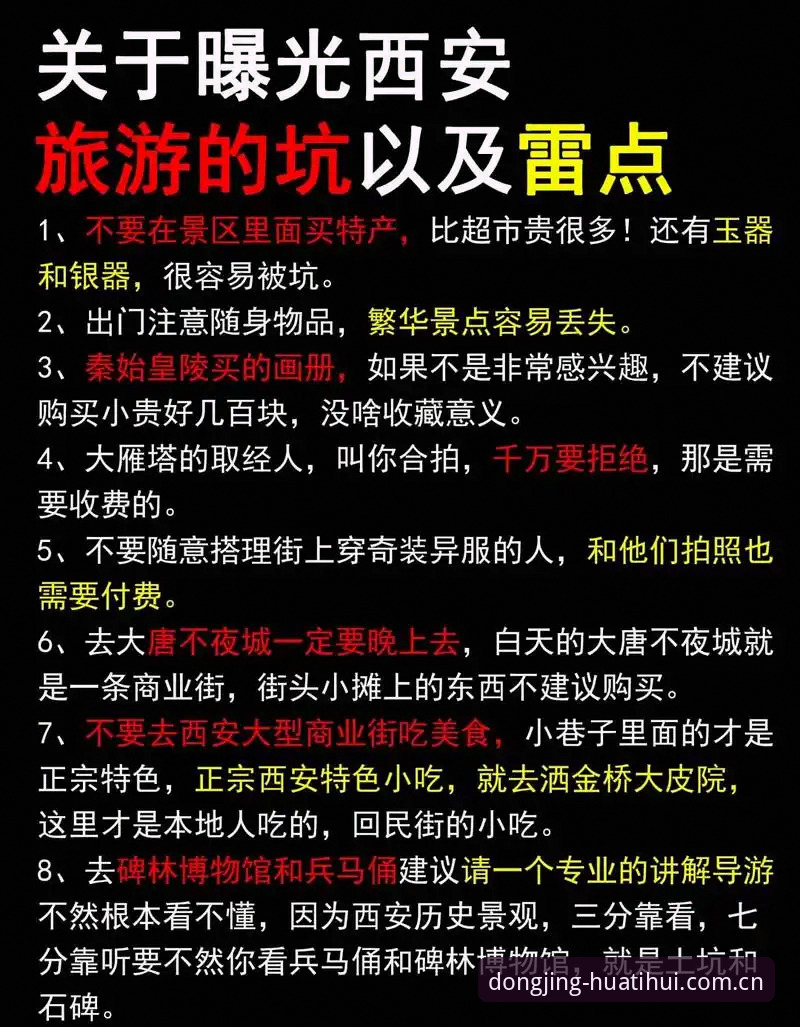 揭秘"动静皆有度正版下载渠道安全吗"——一个实战派用户的真实踩坑经历