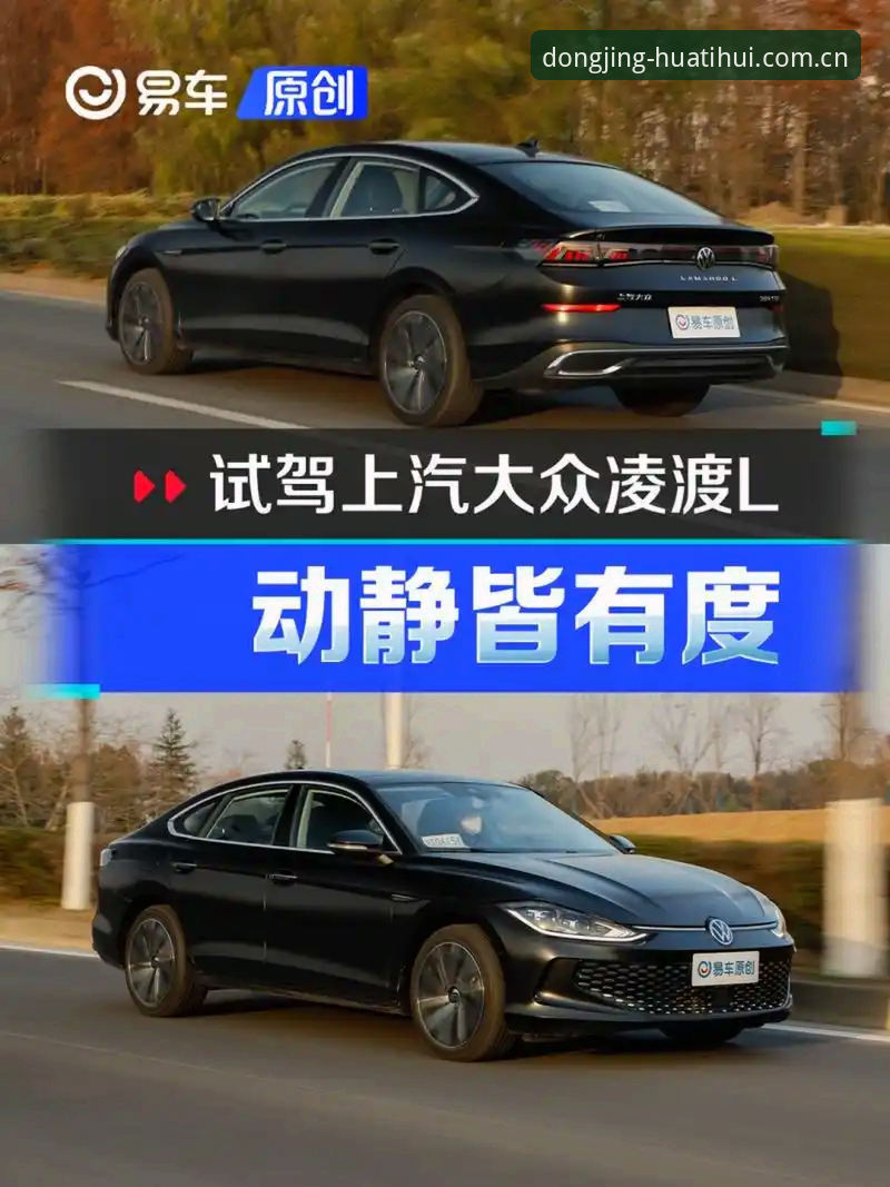 为什么说2026版“动静皆有度”正版下载渠道对比能帮你避开三个坑？